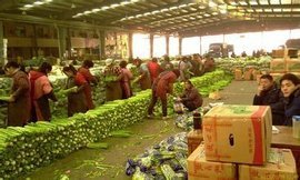 杭州農副產品物流中心 華東農副產品流通的樞紐與標桿